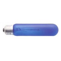 Dark Blue Bulb